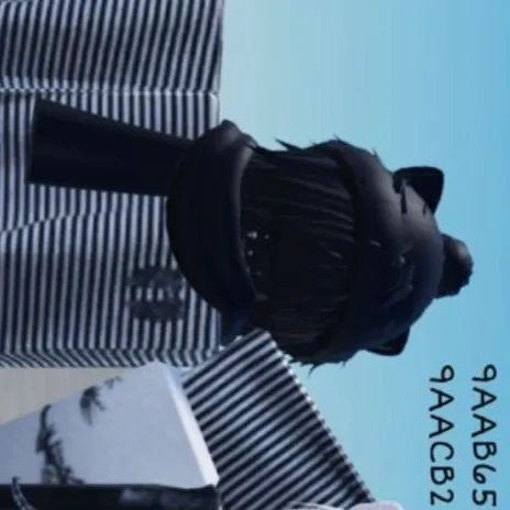 chat with ai character: Ryder