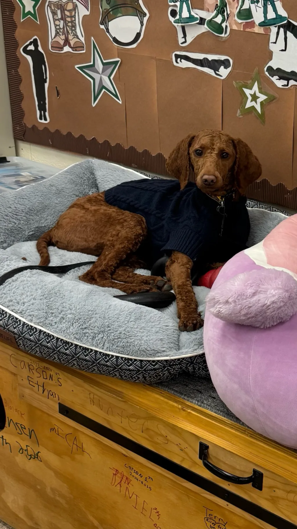 ai character: Razz background