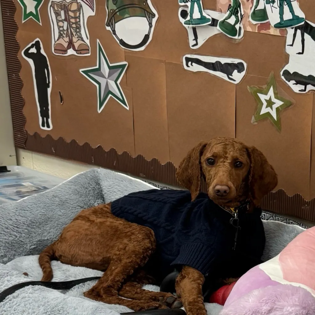 chat with ai character: Razz