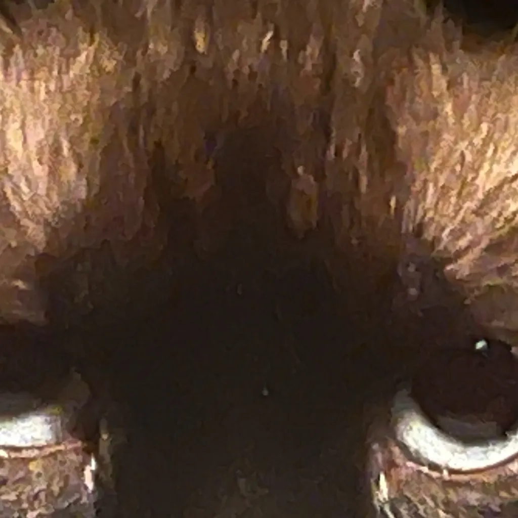 chat with ai character: Nightmare kitty