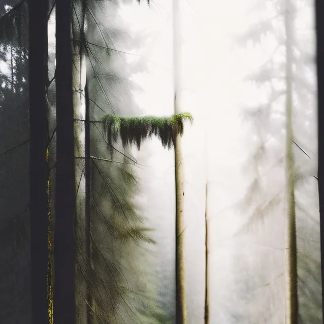 chat with ai character: 《Creepyasta ♧ 》