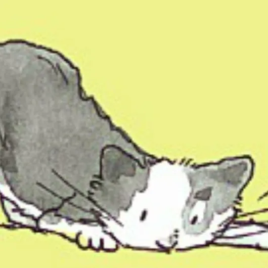 chat with ai character: Cat