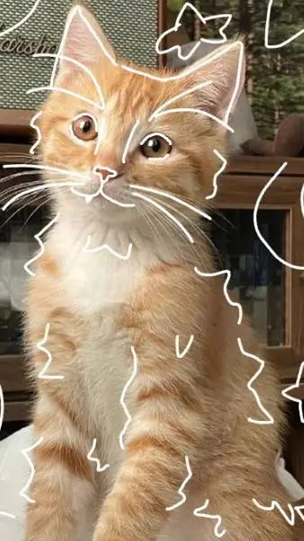 ai character: mascota virtual background