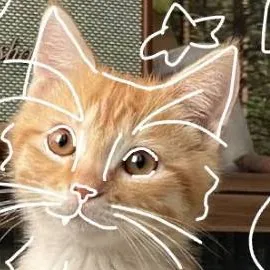 chat with ai character: mascota virtual