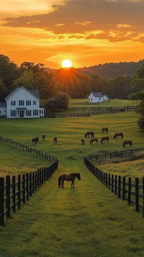 ai character: Horse Life/Rp. background