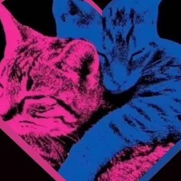 chat with ai character: 🩷TV GIRL 💙