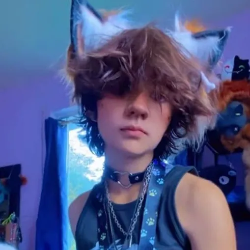 chat with ai character: PHENIC FOOOX