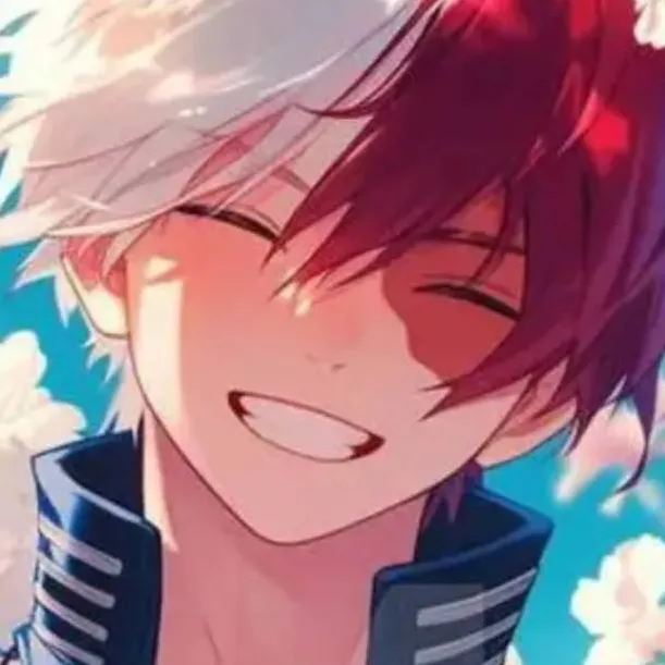 chat with ai character: todoroki hoodie