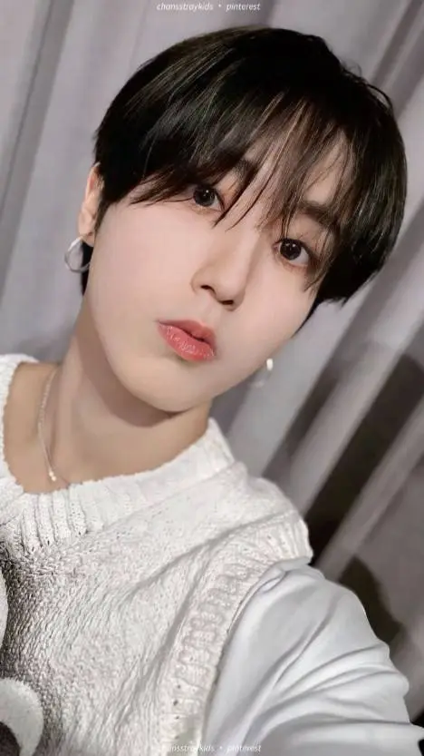 ai character: han jisung background