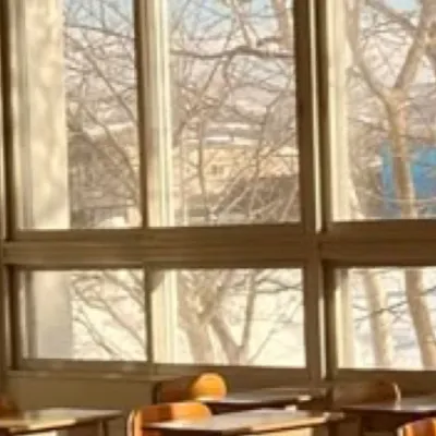chat with ai character: Kpop school 