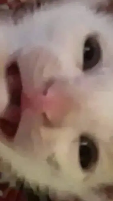 ai character: AHHHH background