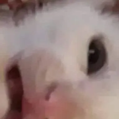 chat with ai character: AHHHH