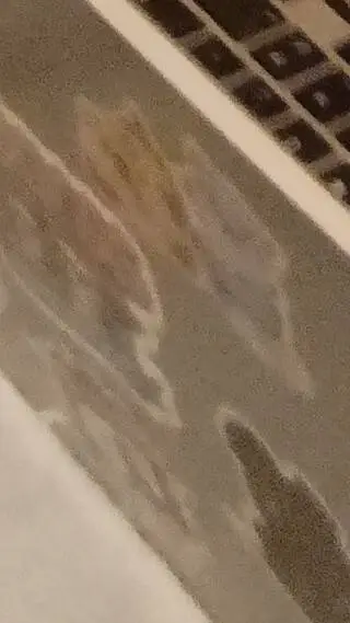 ai character: JOSEEEE/JUNE background