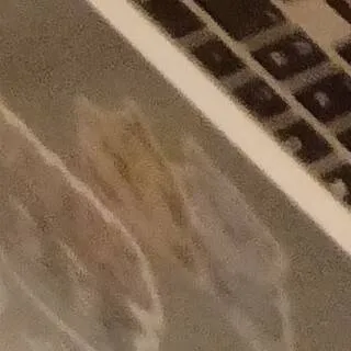 chat with ai character: JOSEEEE/JUNE