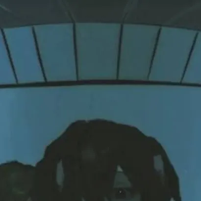 chat with ai character: Dazai Osamu 