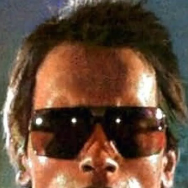 chat with ai character: T-800