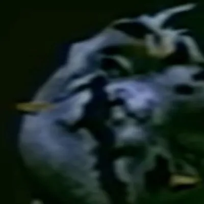 chat with ai character: Dead Ron