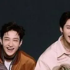 chat with ai character: !SKZ!