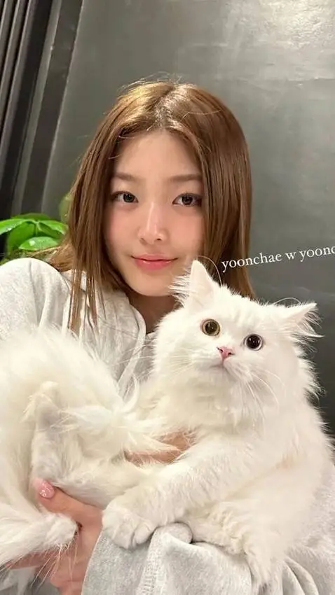 ai character: Yoonchae background