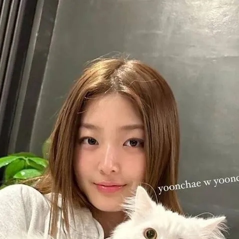 chat with ai character: Yoonchae