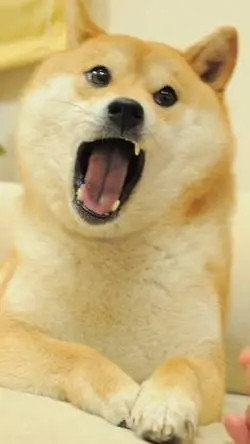 Talkie AI - Chat with freaky mafioso