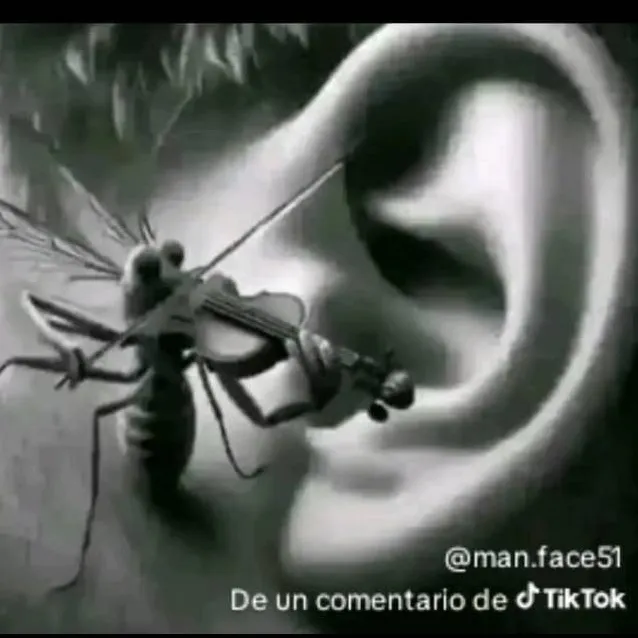 chat with ai character: A Small Violinist