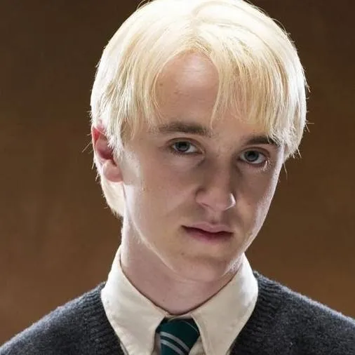 chat with ai character: Draco Malfoy