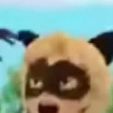 chat with ai character: Cat Noir