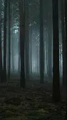 ai character: John's nightmare background