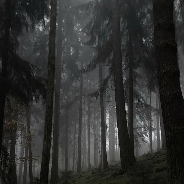 chat with ai character: Noli's nightmare