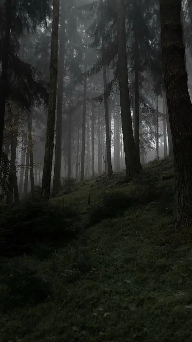 ai character: Noli's nightmare background