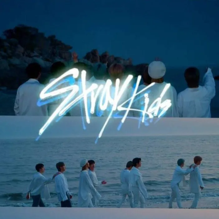 chat with ai character: ༻𓊈𒆜skz𒆜𓊉༺