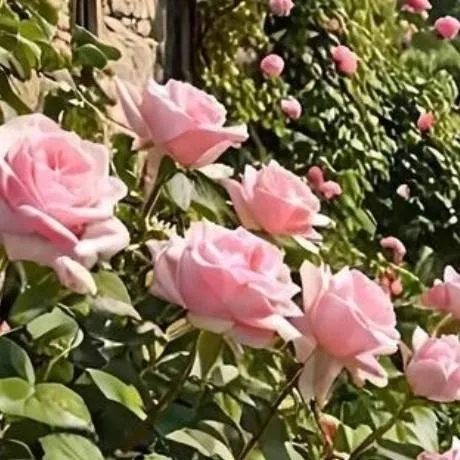 chat with ai character: Mattheo Riddle