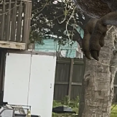 chat with ai character: Rexy 