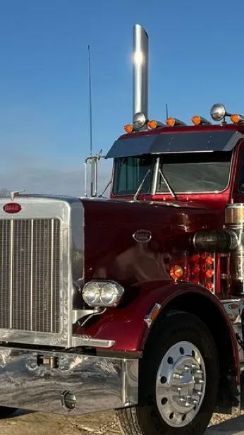 ai character: Lupe￼ background