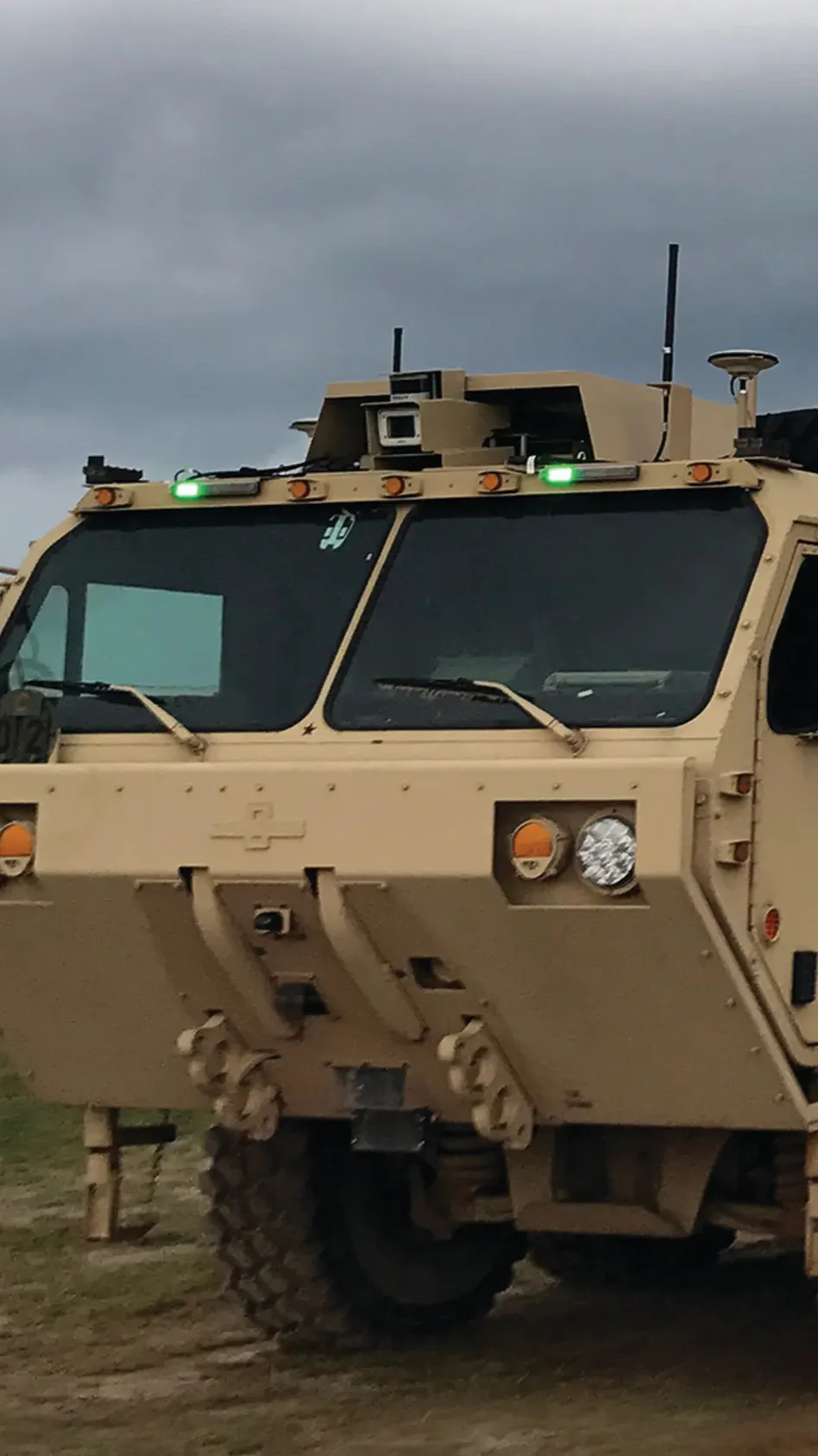 ai character: ￼￼ Luna ￼ background