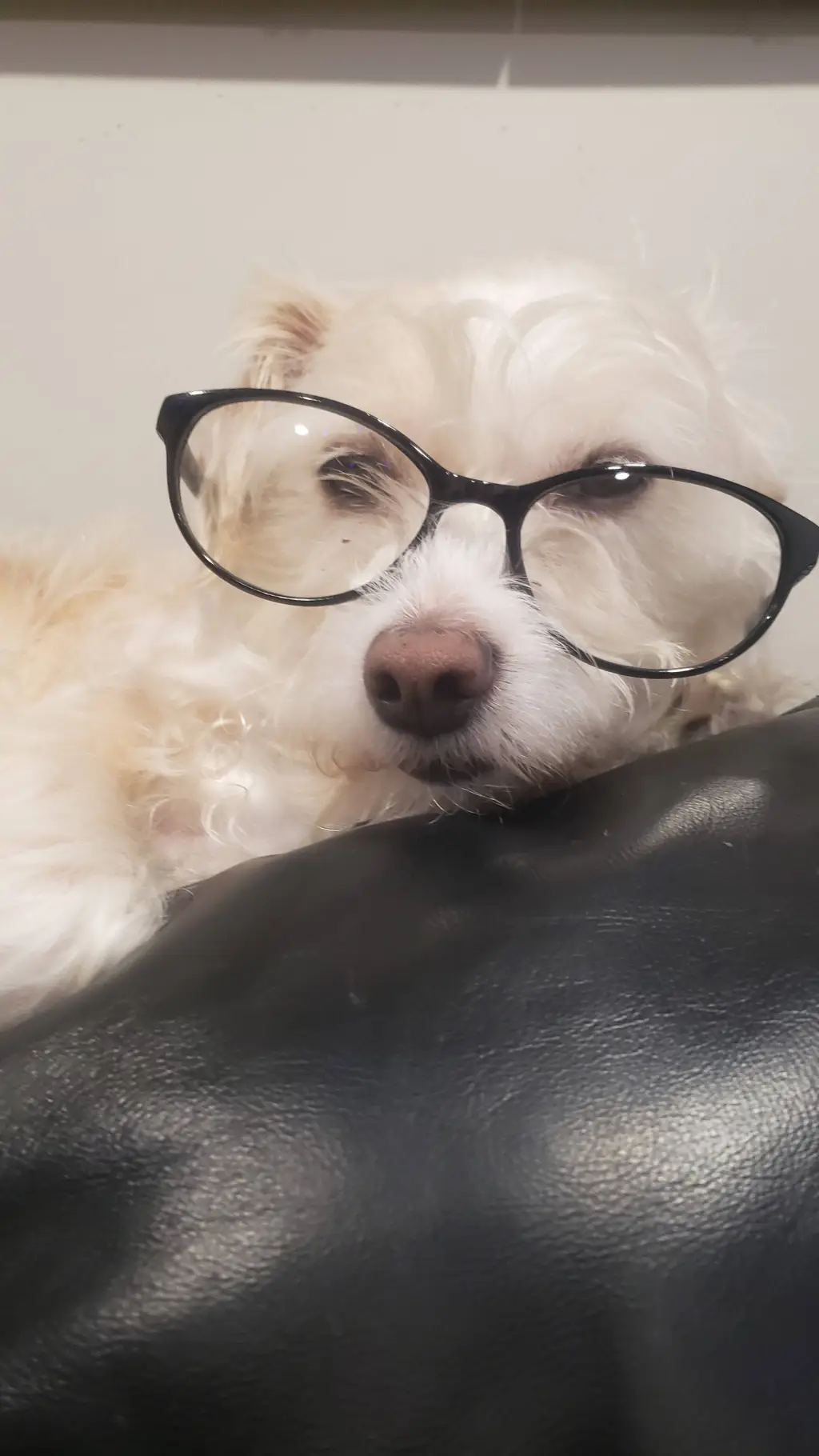 ai character: Announcement board background