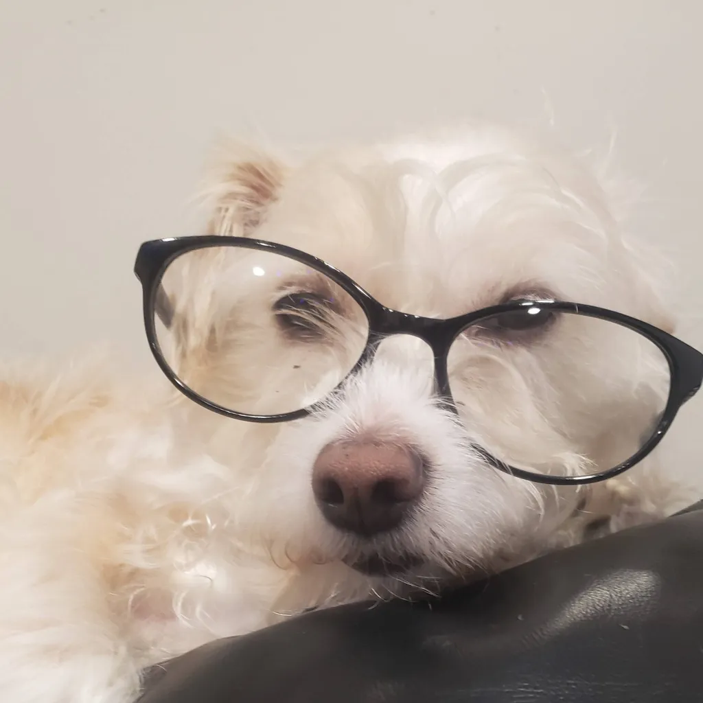 chat with ai character: Announcement board