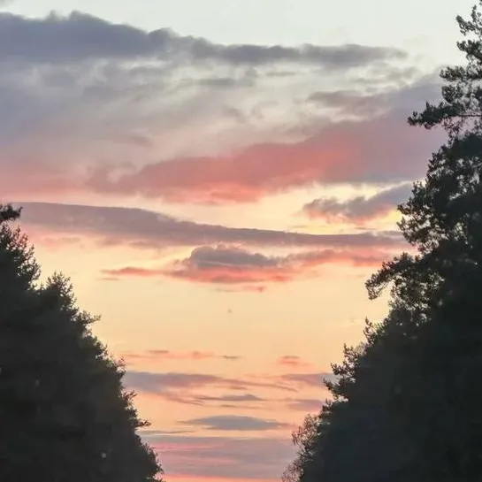 chat with ai character: Micah 