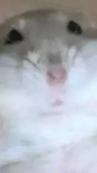 ai character: meme background