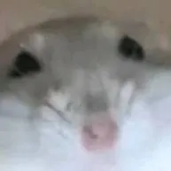 chat with ai character: meme