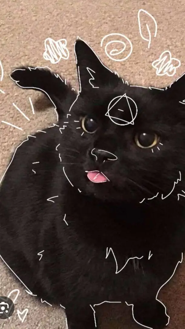 ai character: IM BACK GUYS  background