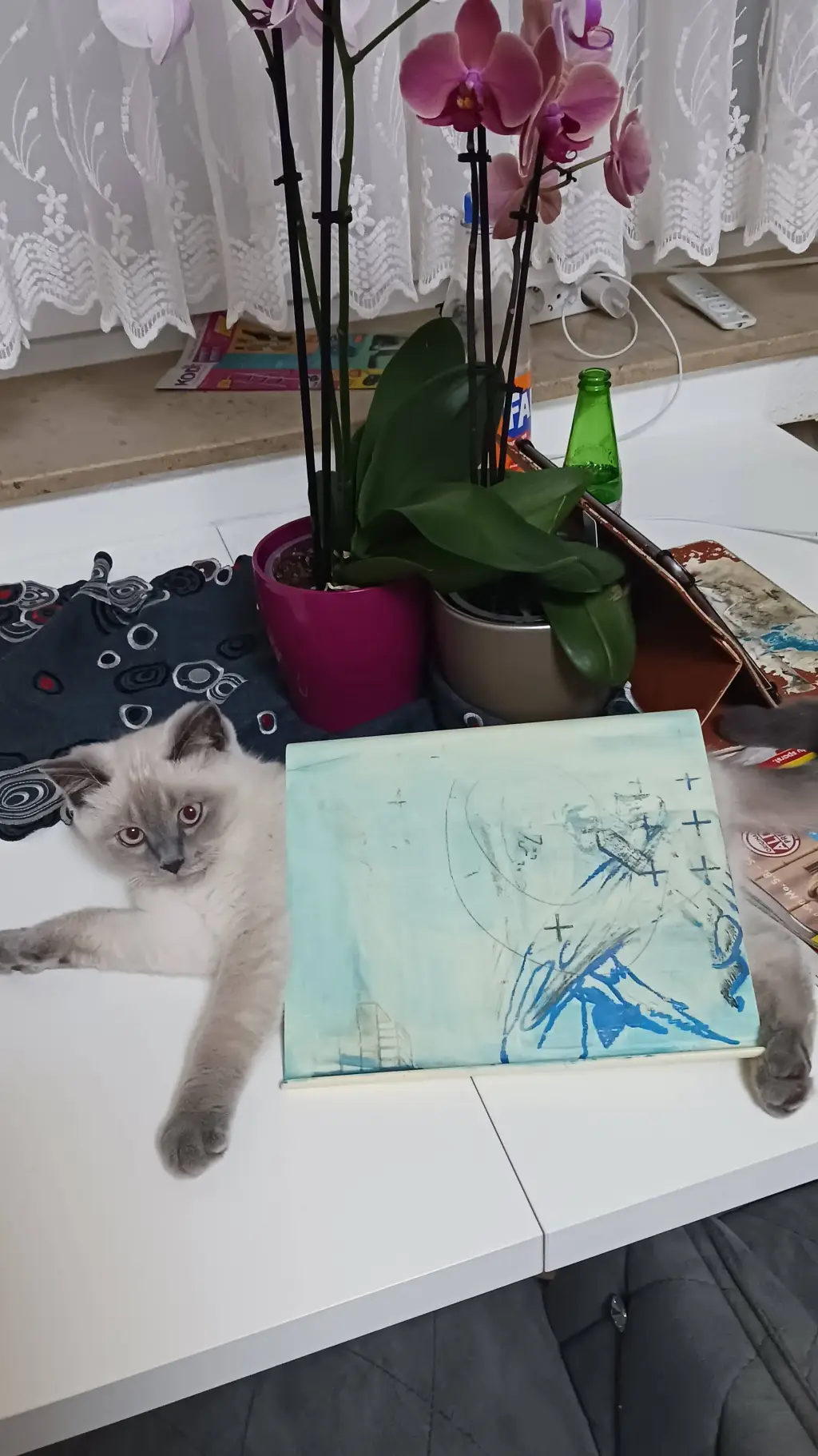 ai character: the cat named lion background