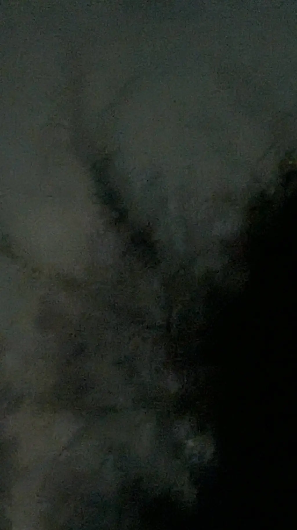 Talkie AI - Chat with Hogwarts Road Trip