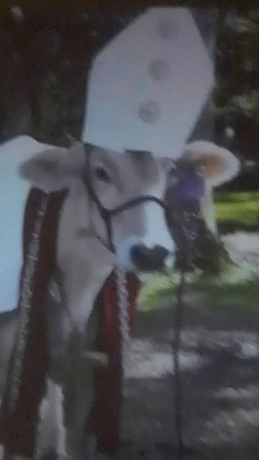 ai character: holy cow background