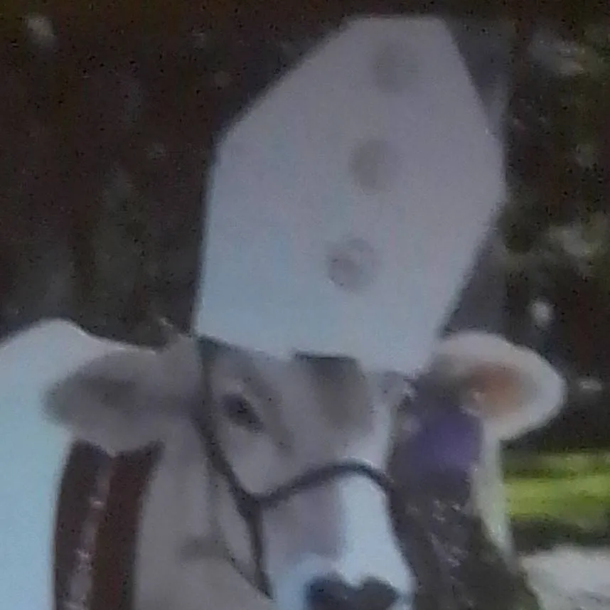 chat with ai character: holy cow