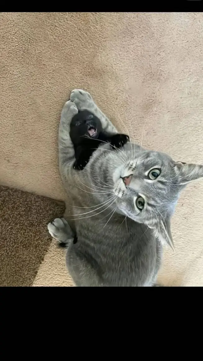 ai character: GxS background