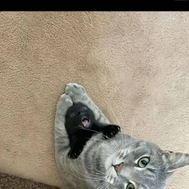 chat with ai character: GxS