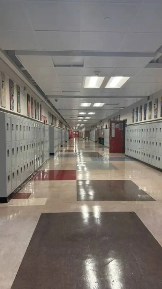 ai character: Danrieowood High!  background