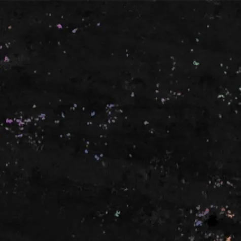 chat with ai character: Yukinon